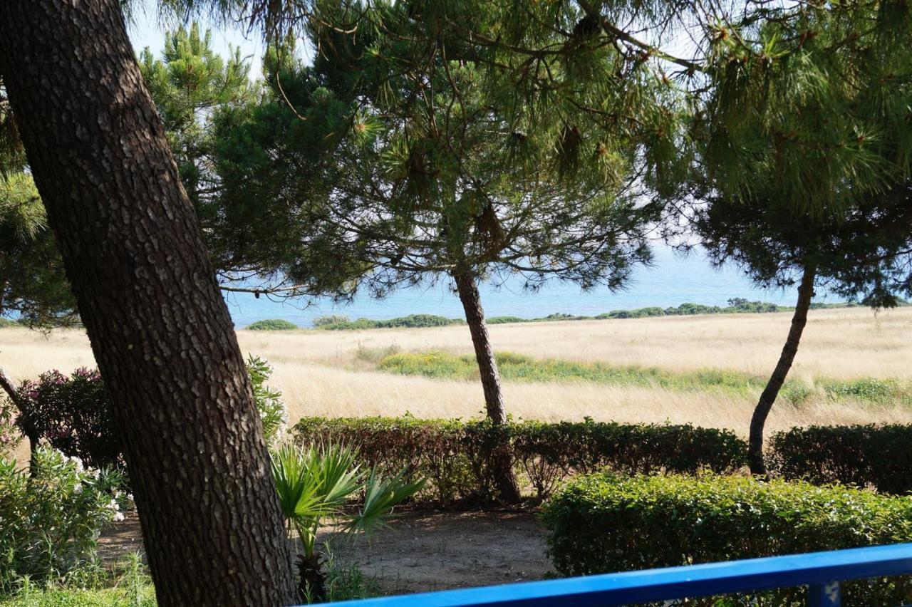 ארקודי Kipriotis Hotel חדר תמונה